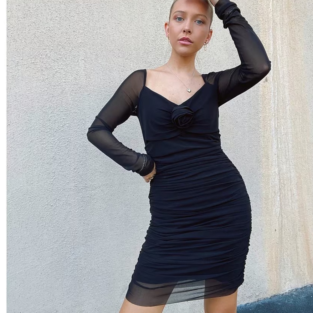 C&V Chelsea & Violet
Long Sleeve V-Neck Rosette Mesh Dress - Picture 3 of 10